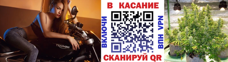 Виды наркотиков купить Зуевка мега зеркало  Кокаин  Гашиш  Каннабис  Alpha-PVP 
