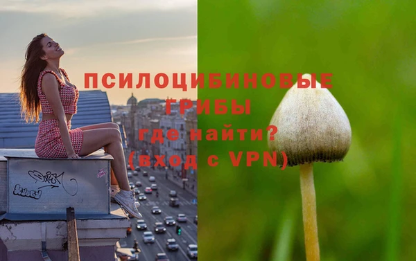 прущие крисы Сафоново