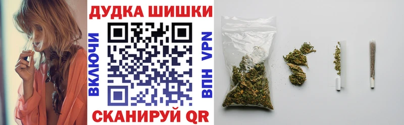 Конопля планчик Зуевка