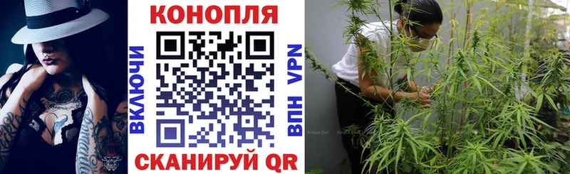 Конопля Amnesia Зуевка
